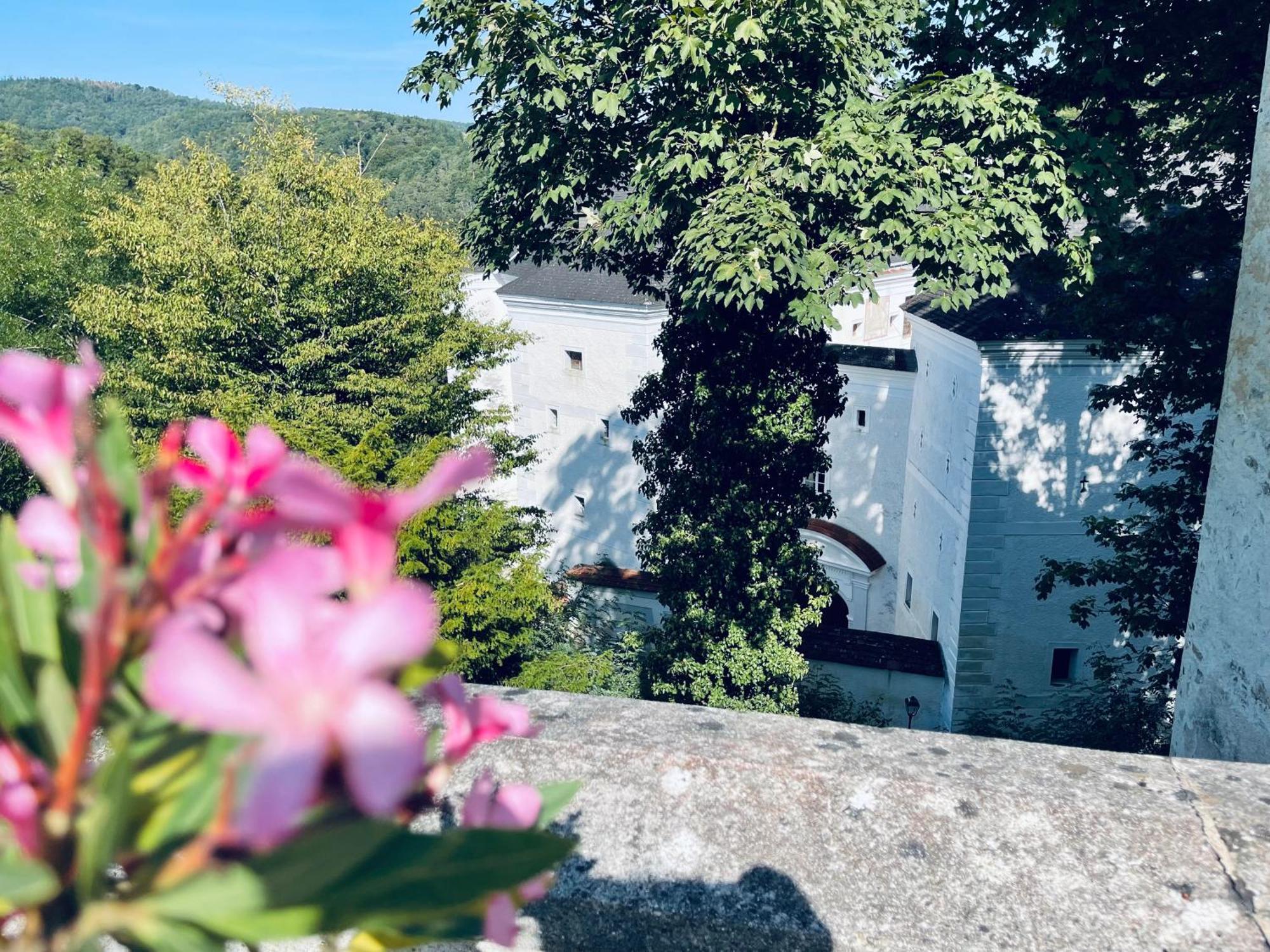 Der Turm Leiben Apartments Buitenkant foto